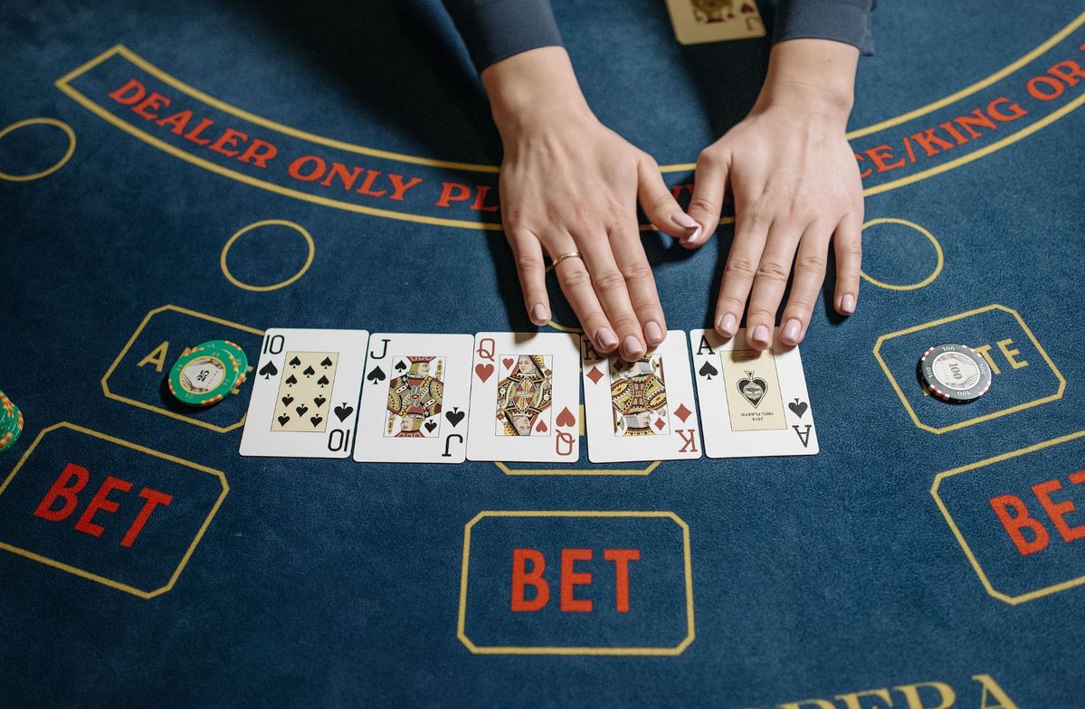 casino dinosaurio Live Betting